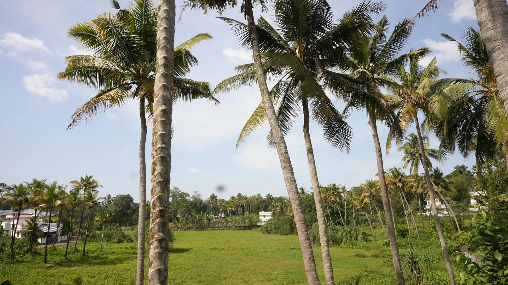 Namasthe Ayurveda And Yoga Retreat Cochin Hotel Nedumbassery
