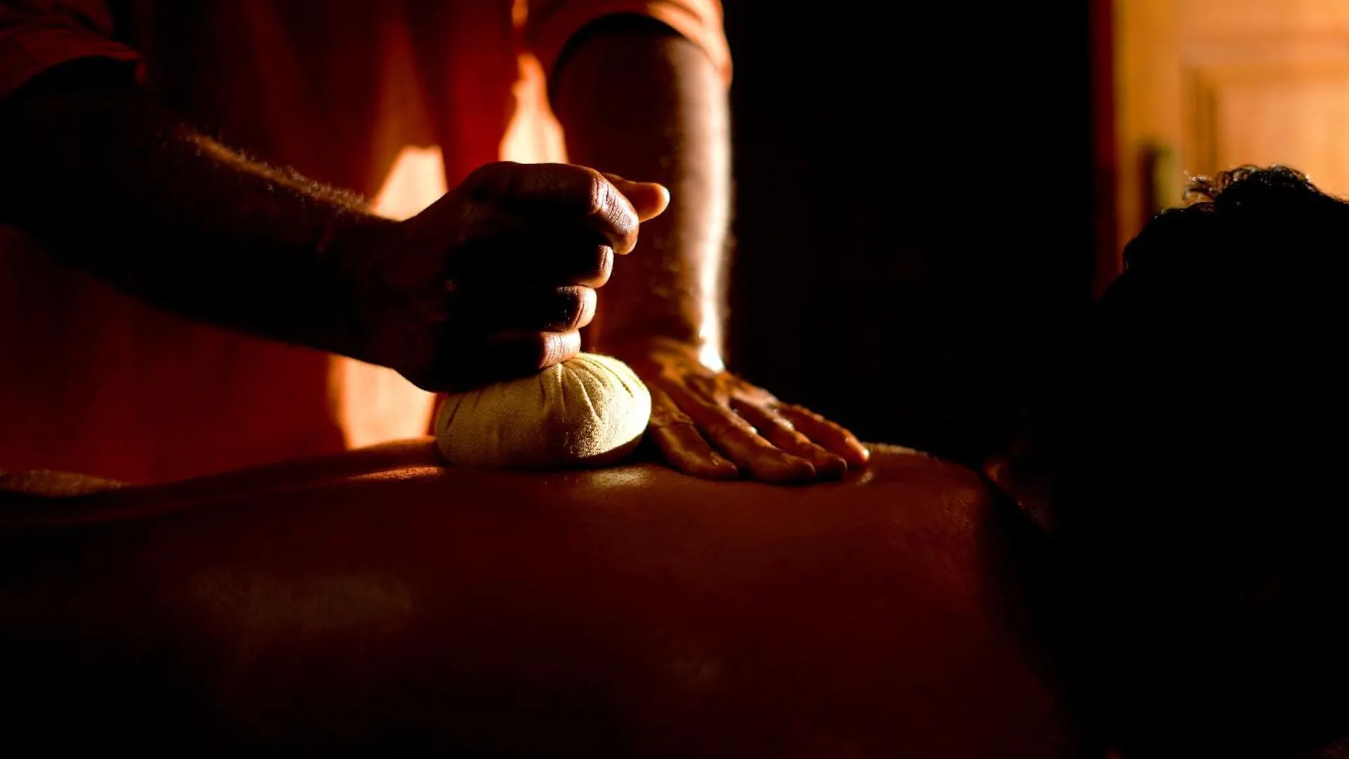 Namasthe Ayurveda And Yoga Retreat Cochin Hotel Nedumbassery 0*,